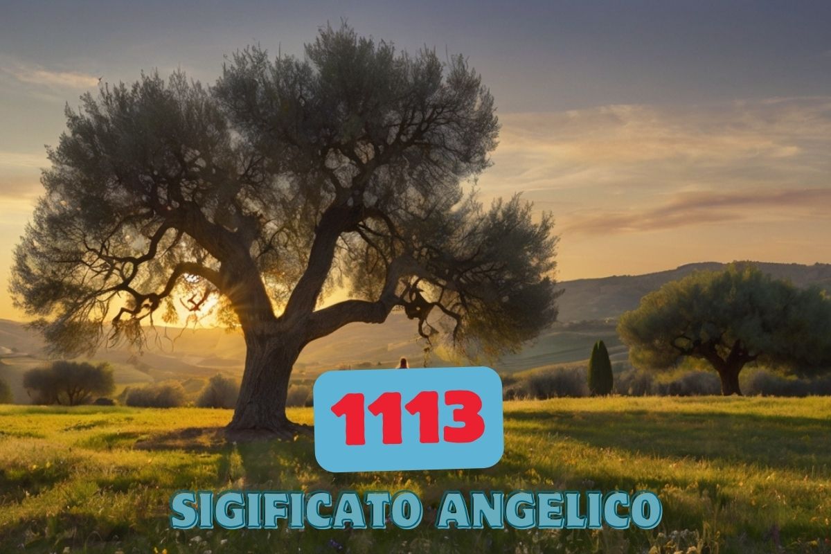 1113 Significato Angelico: Scopri il Potente Messaggio Nascosto che Cambierà la Tua Vita